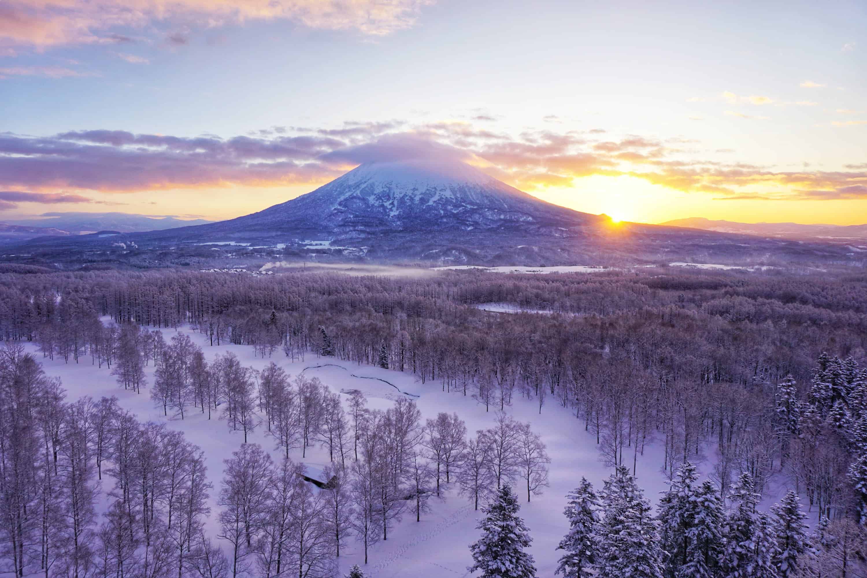 Scott Eddy’s Adventure in Snowy Niseko