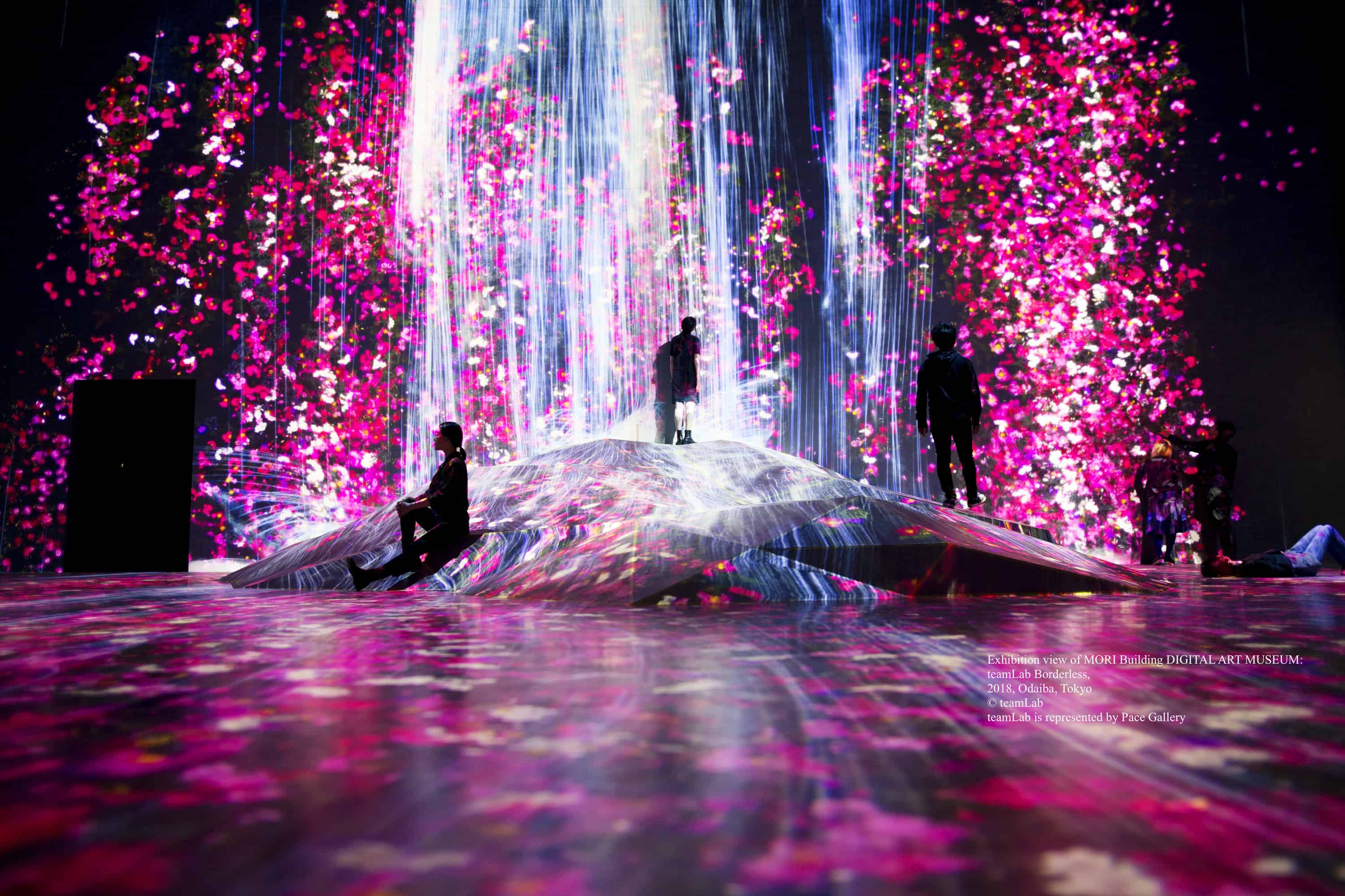 This Immersive Tokyo Exhibition is the Photo Op of Your Instagram Dreams