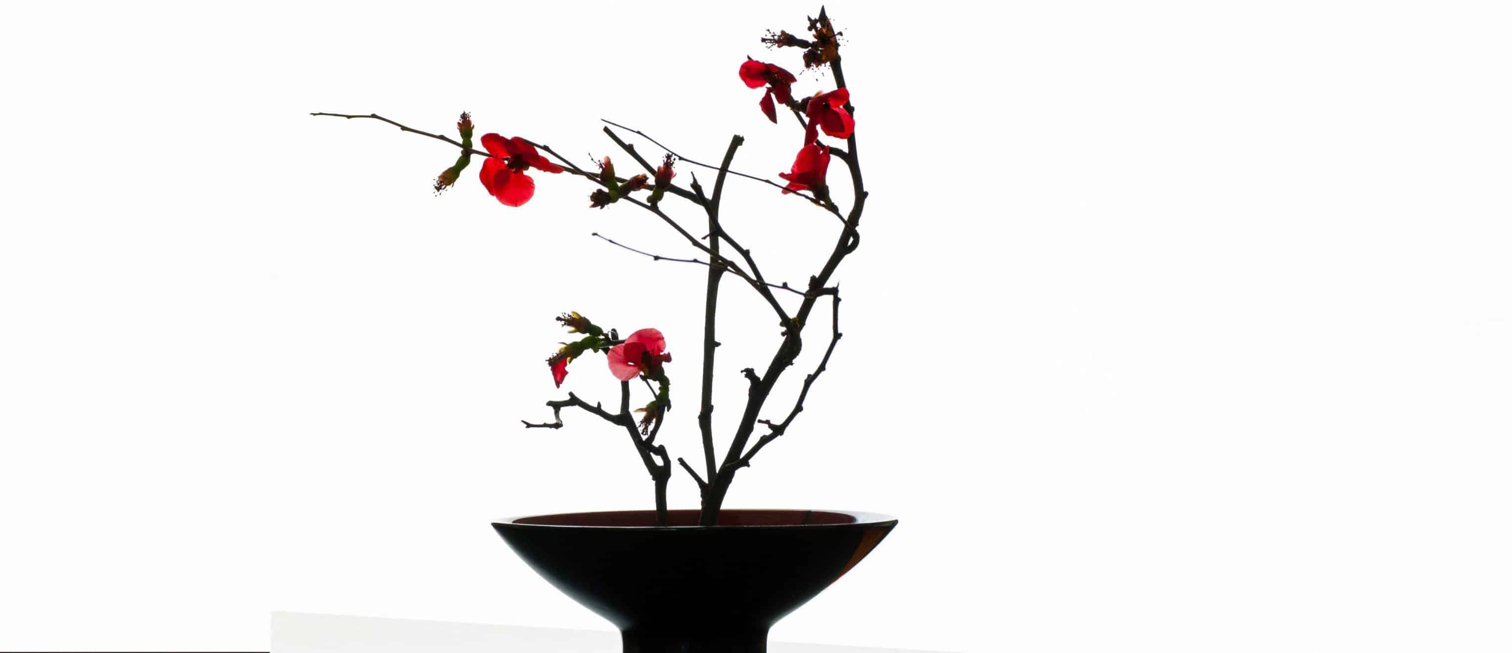 Tap Into Ikebana — the Art of Japanese Flower Arranging — on Your Next Trip to Japan