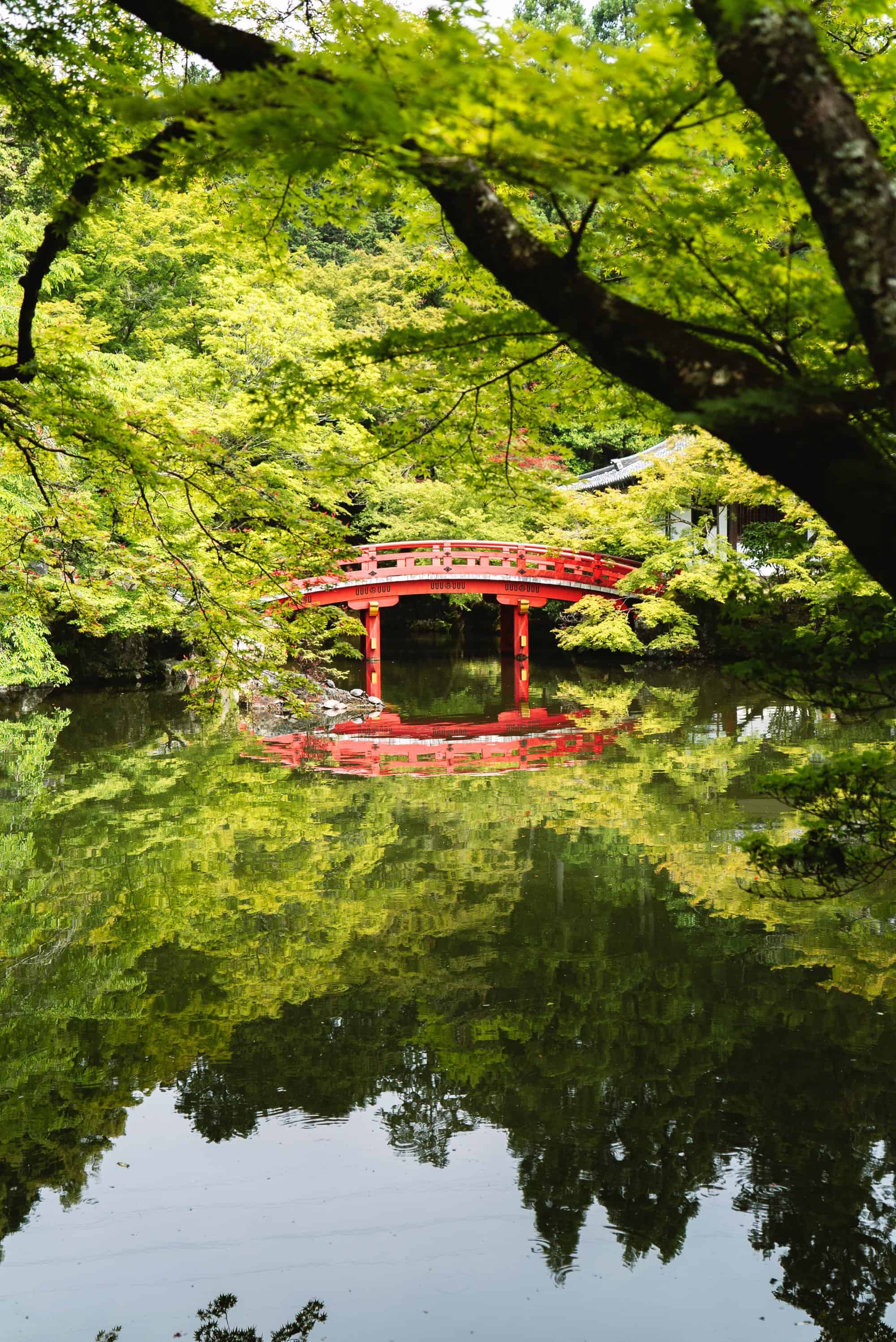 The 5 Most Instagrammable Sites in Kyoto