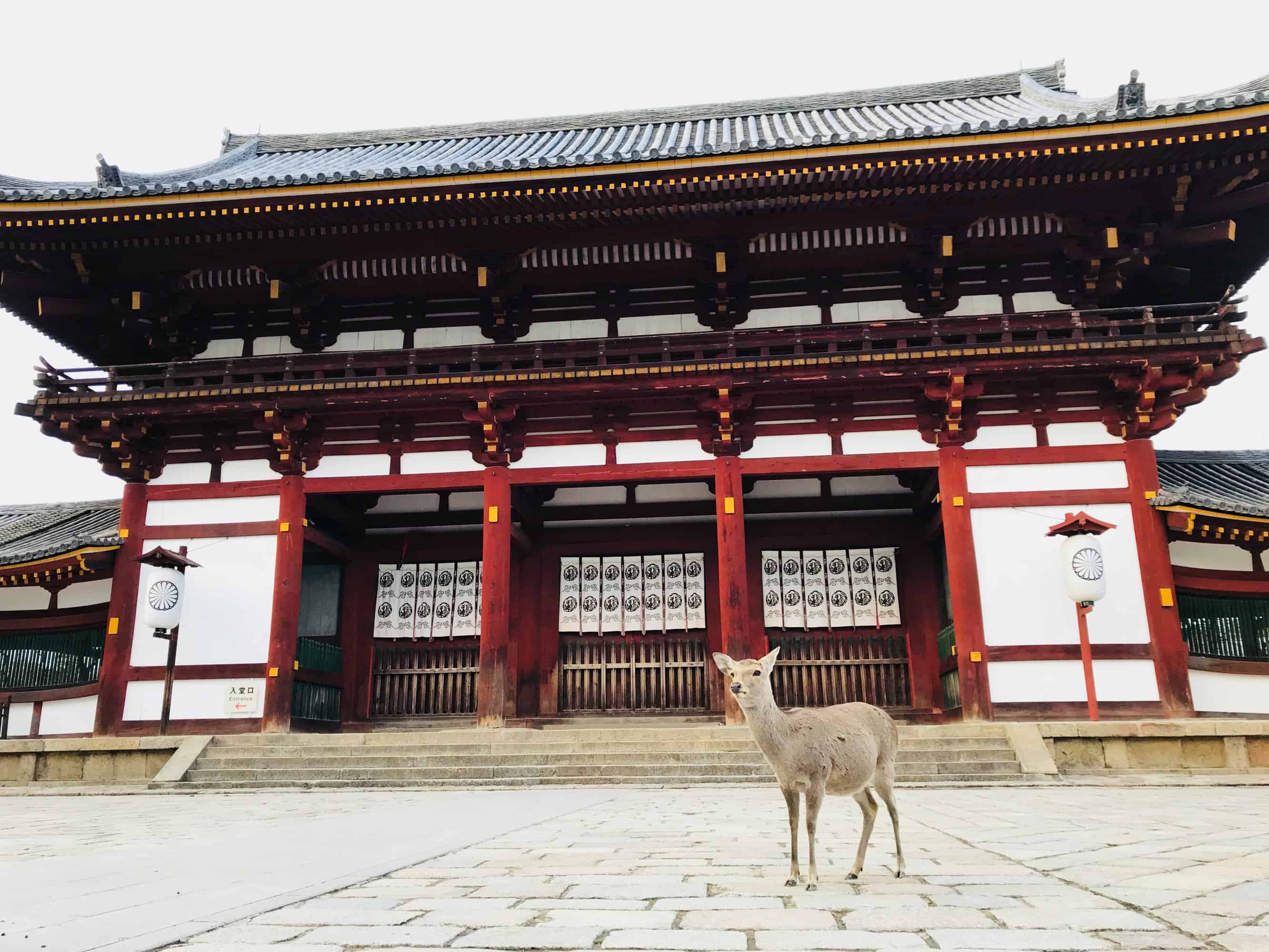 Instagrammable Japan: 4 of Nara’s Most Like-Worthy Attractions