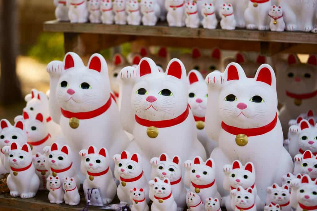 The Latest in Japan’s Cat Culture ANA Experience Class