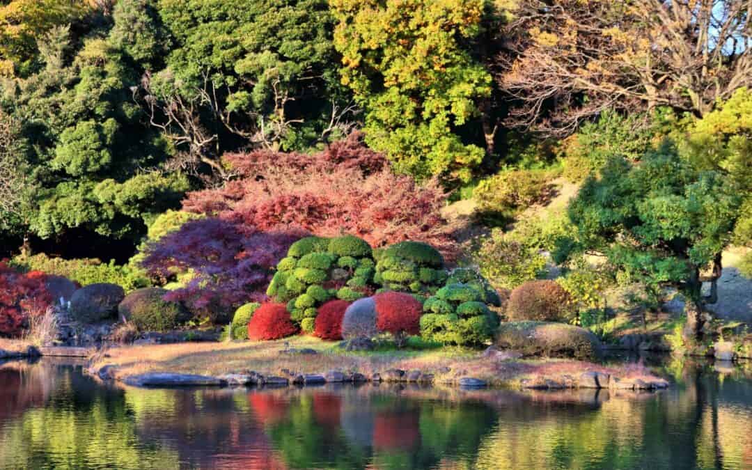 Cherry Blossoms Are Just The Beginning—These Are Japan’s Other Magical Botanical Attractions
