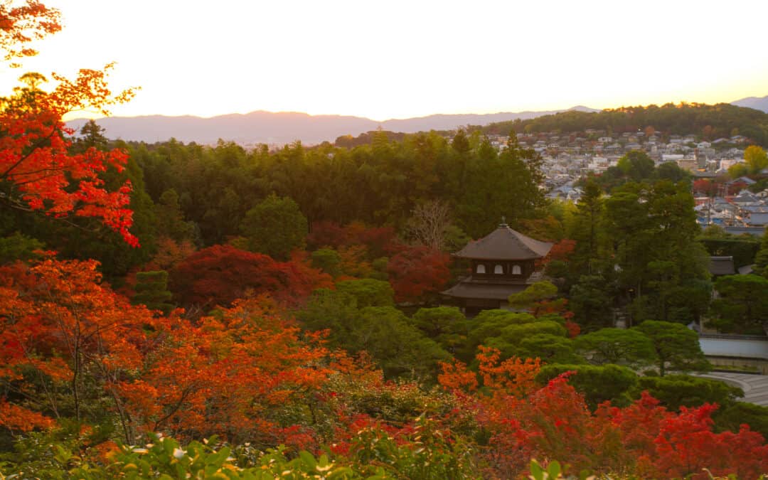 DROP A PIN: YOUR MAP OF KYOTO’S HISTORIC SITES