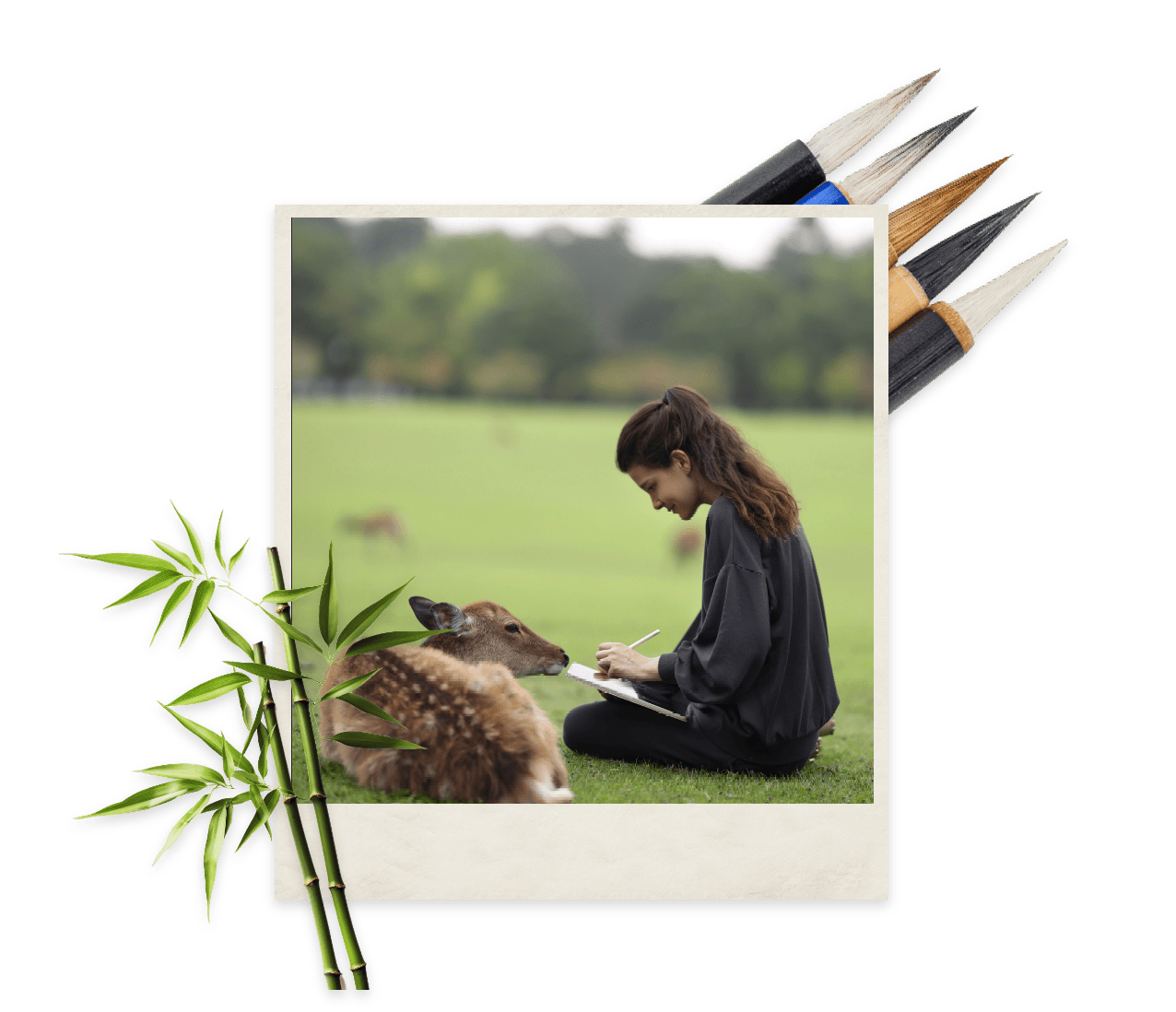 A woman kneels in the grass of a meadow while sketching on a sketchpad as a deer relaxes by her side, paired with pencils in one corner and bamboo shoots in the other.