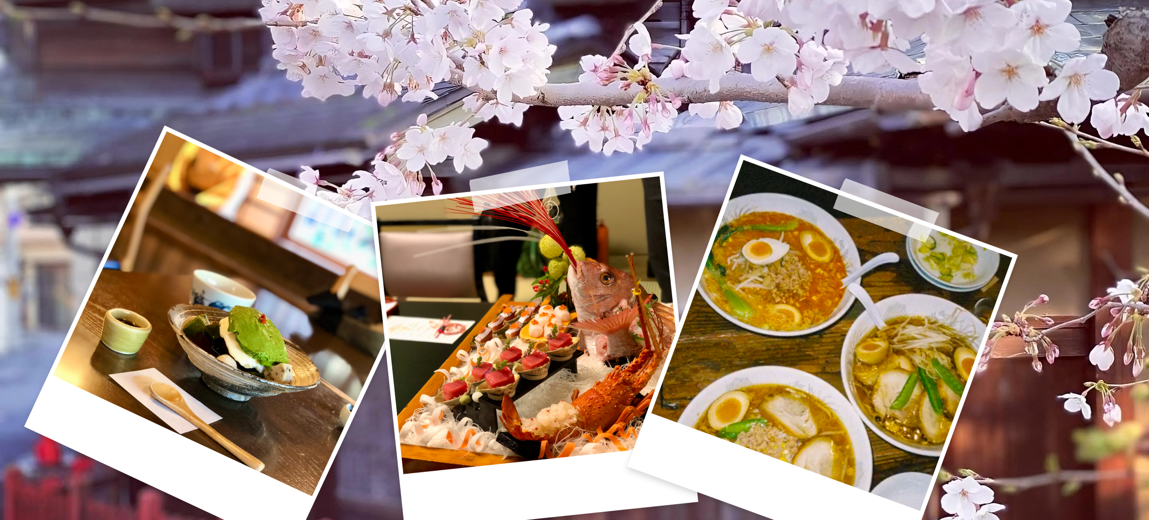 Collage of images featuring a matcha dessert, Japanese fish dish, and ramen over an image of cherry blossoms.