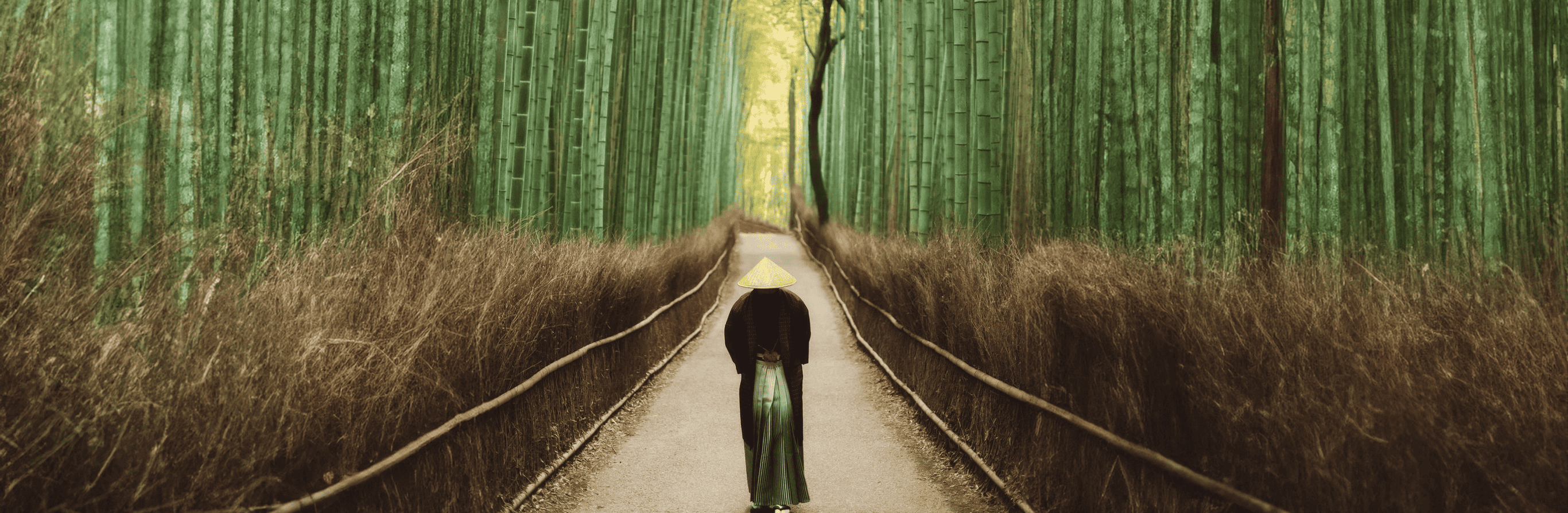 A person wearing a traditional conical hat stands at the center of a serene bamboo forest in Japan, with a narrow path leading through tall green bamboo stalks on either side.